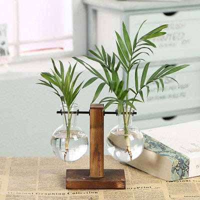 Hydroponic Plant Vase