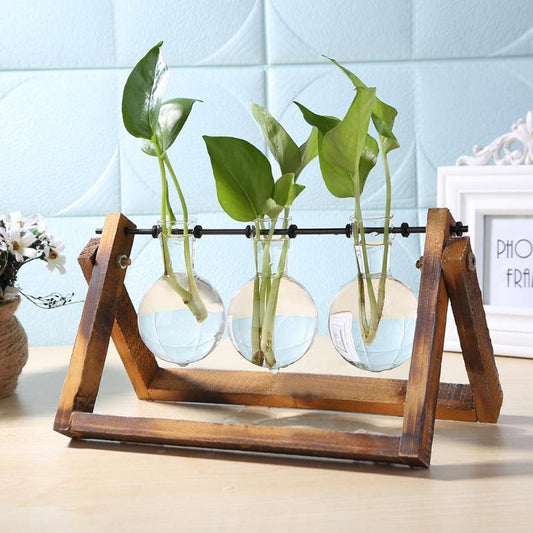 Glass and Wood Planter/ Propagation vase